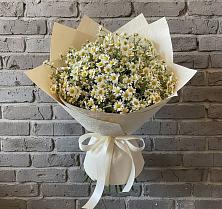 Букет цветов из:  Ромашки в Алексеевской Краснодарского края