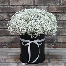 Цветочная композиция из Гипсофила в шляпной коробке #REPLACE_PRED# Алексеевской Краснодарского края