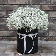 Цветочная композиция из Гипсофила в шляпной коробке в Алексеевской Краснодарского края