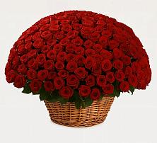 Премиум букет из: Розы в Алексеевской Краснодарского края